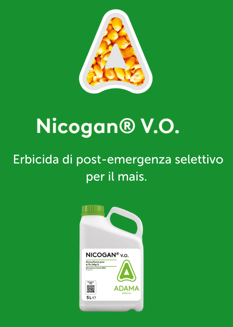 Nicogan