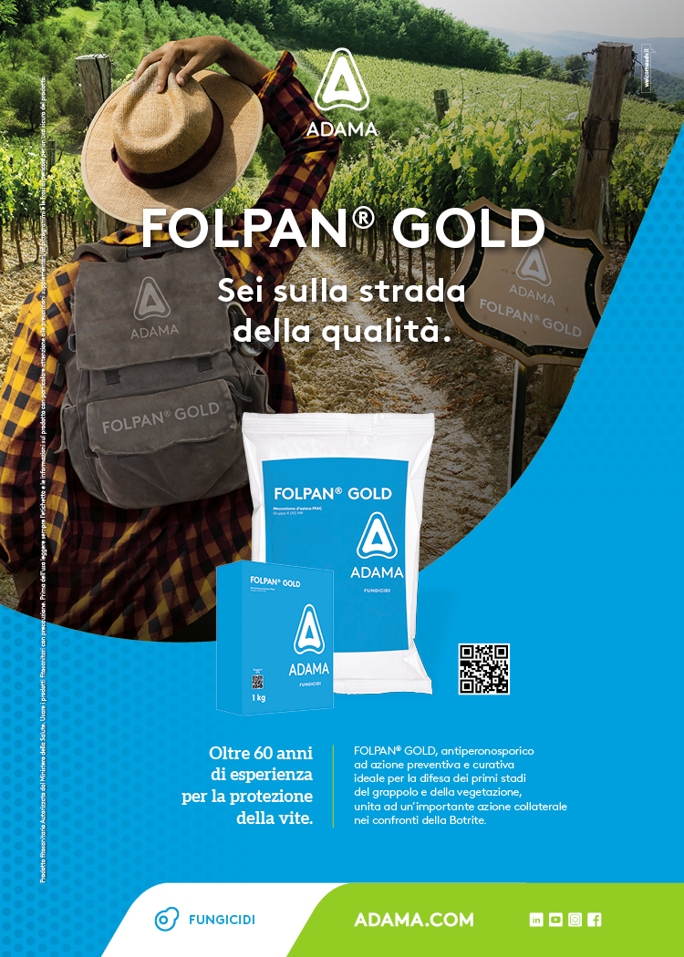 Folpan_Gold_Adama