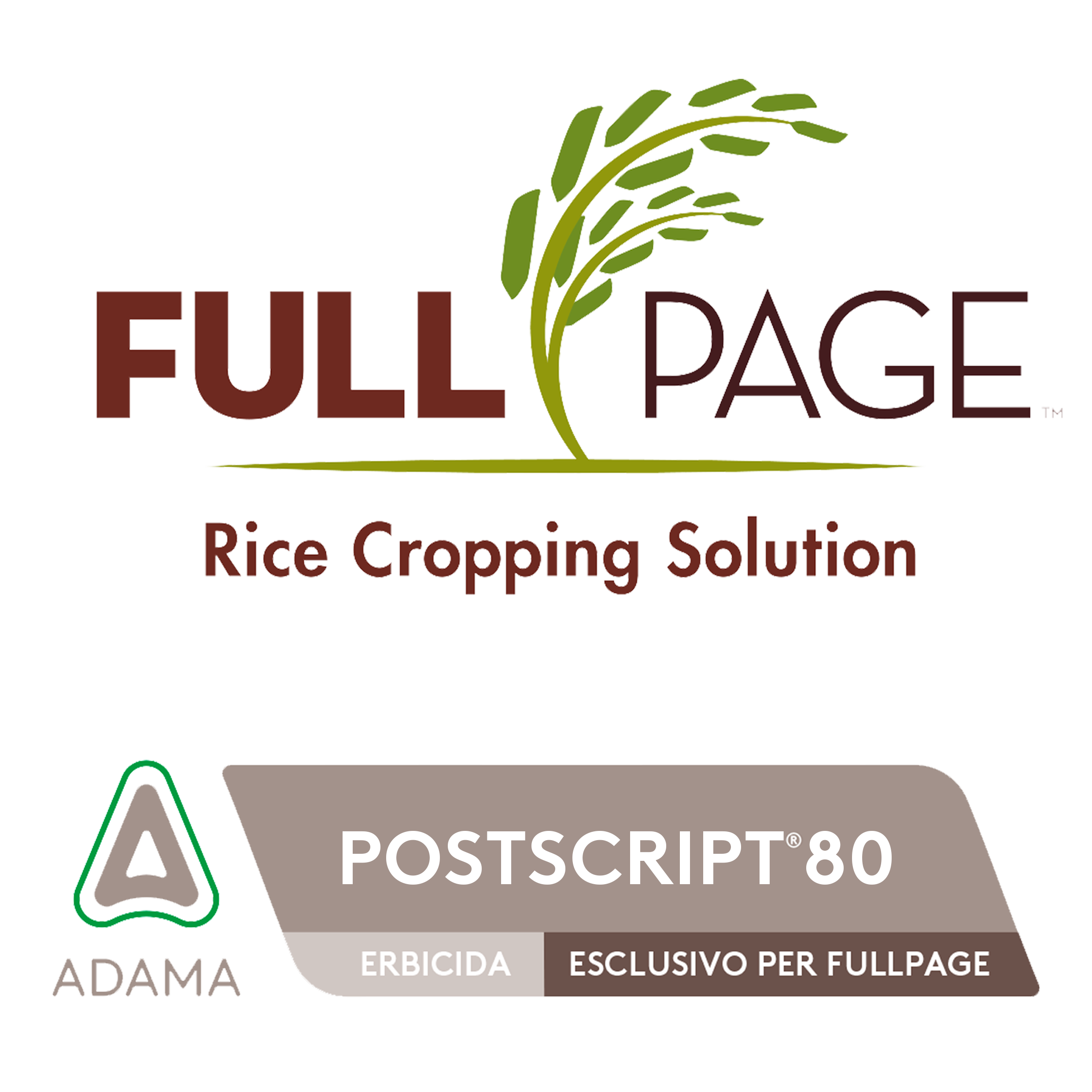 FullPage + Postscript80_Landing Page