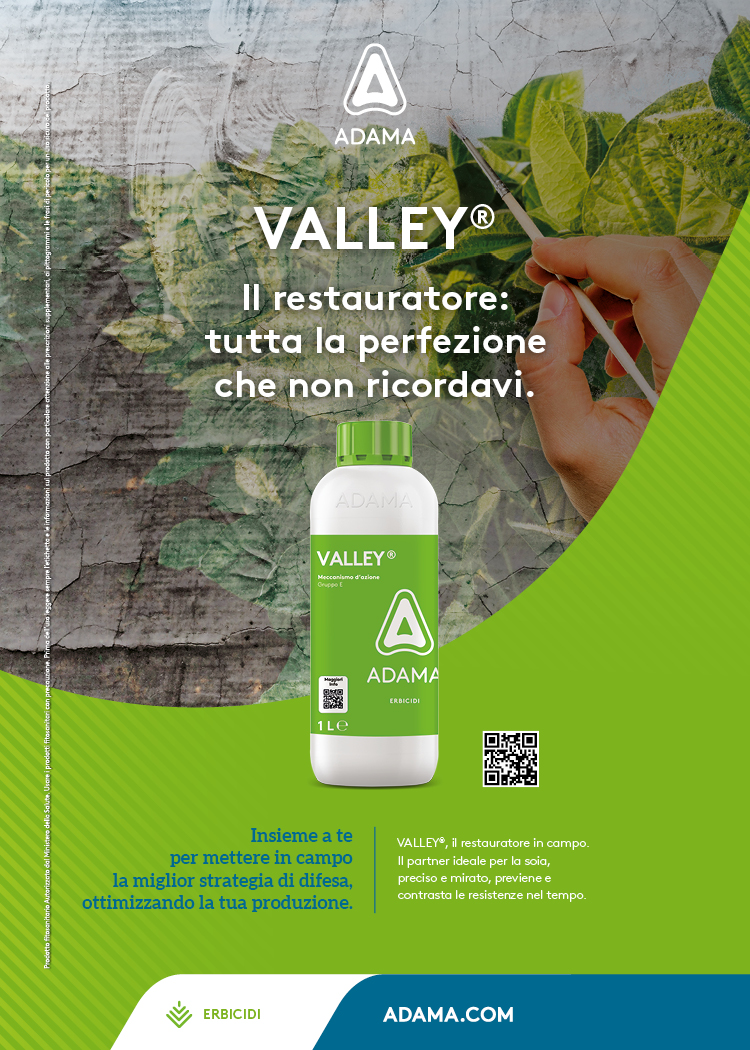Valley_Adama