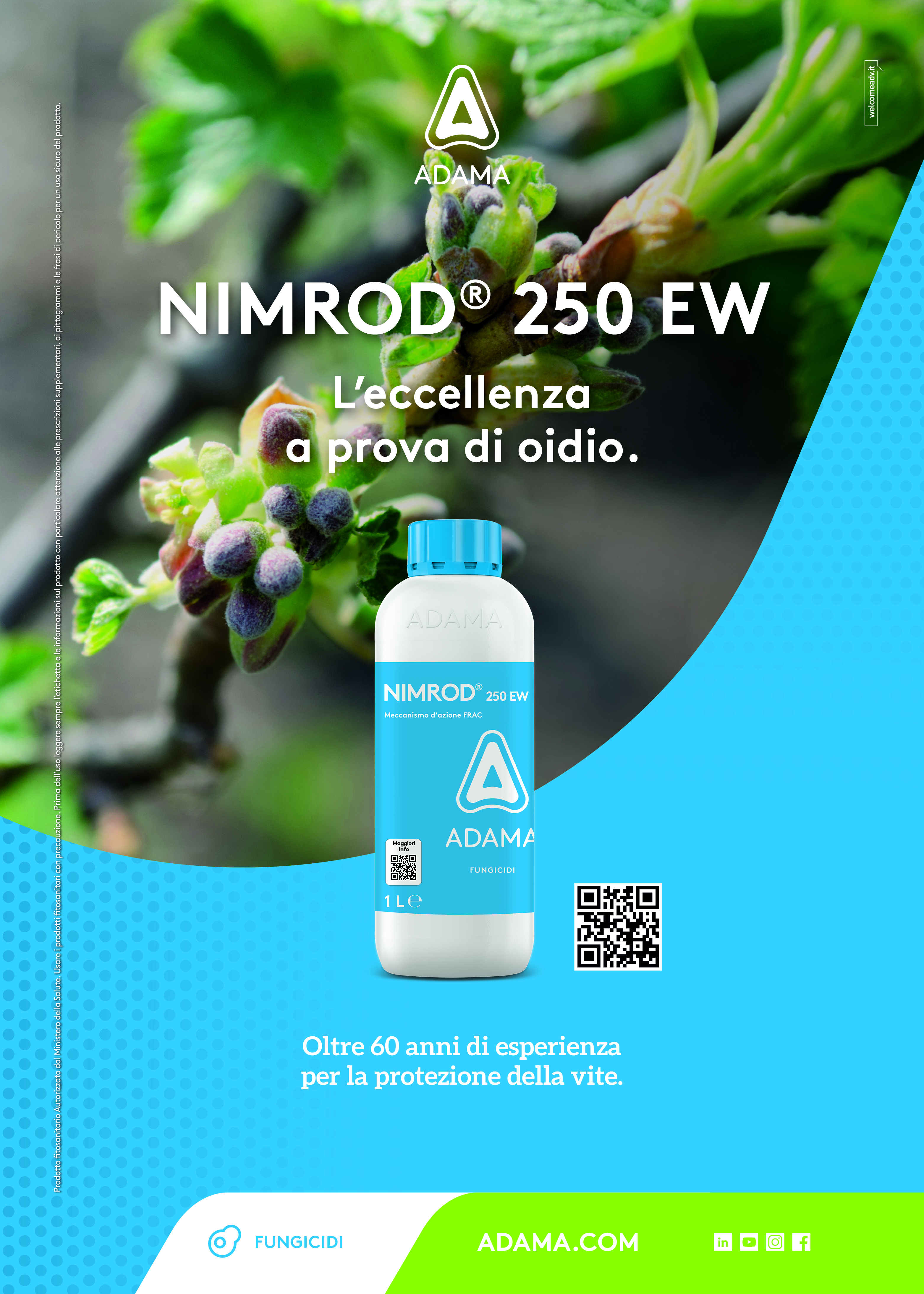 Visual NIMROD 250 EW_750x1050_01