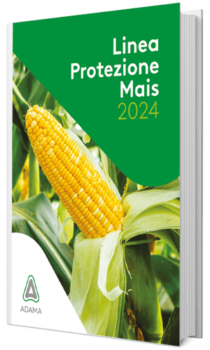 mockup3D_ebook_ADAMA_mais_2024