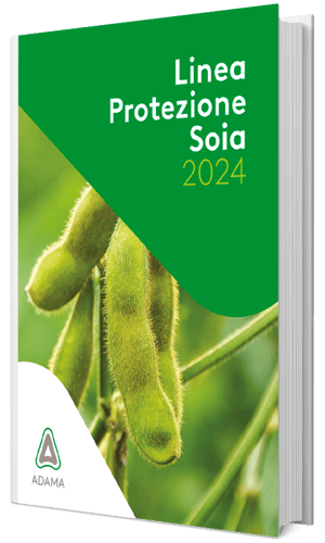 mockup3D_ebook_ADAMA_soia_2024